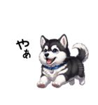 溺愛するマラミュート日常(黒文字)（個別スタンプ：14）