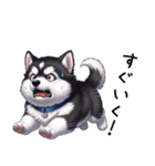 溺愛するマラミュート日常(黒文字)（個別スタンプ：16）