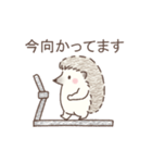 毎日使える＊ハリネズミと筋トレ（個別スタンプ：17）