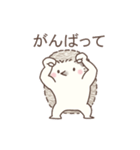 毎日使える＊ハリネズミと筋トレ（個別スタンプ：34）