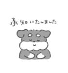 シュナウザースタンプ(まいにち使える)（個別スタンプ：7）