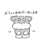 シュナウザースタンプ(まいにち使える)（個別スタンプ：10）
