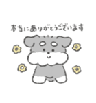 シュナウザースタンプ(まいにち使える)（個別スタンプ：16）