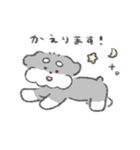 シュナウザースタンプ(まいにち使える)（個別スタンプ：20）