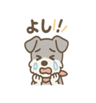 ジェスチャーシュナのがんばり応援スタンプ（個別スタンプ：11）