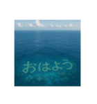 海の珊瑚礁で会話（個別スタンプ：1）