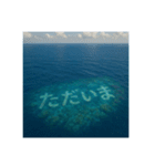 海の珊瑚礁で会話（個別スタンプ：7）