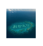 海の珊瑚礁で会話（個別スタンプ：8）