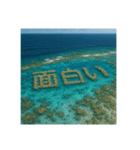 海の珊瑚礁で会話（個別スタンプ：24）