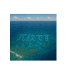 海の珊瑚礁で会話（個別スタンプ：29）