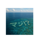 海の珊瑚礁で会話（個別スタンプ：33）