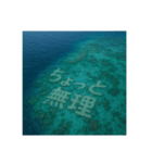 海の珊瑚礁で会話（個別スタンプ：37）