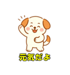 かわいい犬51（個別スタンプ：13）