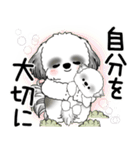 B＆W シーズー犬 2025 「悟りました」（個別スタンプ：1）