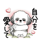 B＆W シーズー犬 2025 「悟りました」（個別スタンプ：2）
