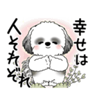 B＆W シーズー犬 2025 「悟りました」（個別スタンプ：4）