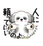 B＆W シーズー犬 2025 「悟りました」（個別スタンプ：10）