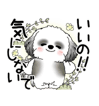 B＆W シーズー犬 2025 「悟りました」（個別スタンプ：11）