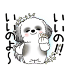 B＆W シーズー犬 2025 「悟りました」（個別スタンプ：12）