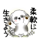 B＆W シーズー犬 2025 「悟りました」（個別スタンプ：13）
