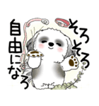 B＆W シーズー犬 2025 「悟りました」（個別スタンプ：17）