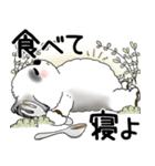 B＆W シーズー犬 2025 「悟りました」（個別スタンプ：19）