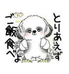 B＆W シーズー犬 2025 「悟りました」（個別スタンプ：20）