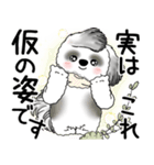 B＆W シーズー犬 2025 「悟りました」（個別スタンプ：21）