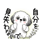B＆W シーズー犬 2025 「悟りました」（個別スタンプ：24）