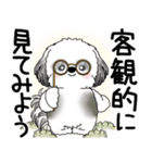 B＆W シーズー犬 2025 「悟りました」（個別スタンプ：27）