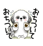 B＆W シーズー犬 2025 「悟りました」（個別スタンプ：28）