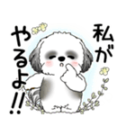 B＆W シーズー犬 2025 「悟りました」（個別スタンプ：29）