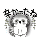 B＆W シーズー犬 2025 「悟りました」（個別スタンプ：31）