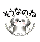 B＆W シーズー犬 2025 「悟りました」（個別スタンプ：33）