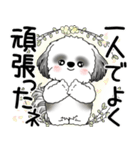 B＆W シーズー犬 2025 「悟りました」（個別スタンプ：34）