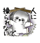 B＆W シーズー犬 2025 「悟りました」（個別スタンプ：36）