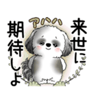 B＆W シーズー犬 2025 「悟りました」（個別スタンプ：37）