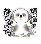 B＆W シーズー犬 2025 「悟りました」（個別スタンプ：39）