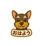 ミニシュナシュナウザーしょこらのスタンプ（個別スタンプ：1）