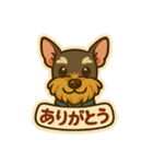 ミニシュナシュナウザーしょこらのスタンプ（個別スタンプ：2）