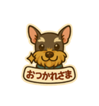 ミニシュナシュナウザーしょこらのスタンプ（個別スタンプ：3）