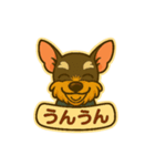 ミニシュナシュナウザーしょこらのスタンプ（個別スタンプ：14）