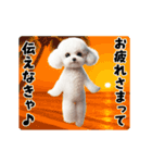夏の♡エッホエッホ♪ホワイトトイプー（個別スタンプ：9）