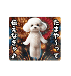 夏の♡エッホエッホ♪ホワイトトイプー（個別スタンプ：23）