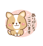 丁寧♪ゆるコーギー大人の日常スタンプ03（個別スタンプ：1）