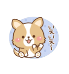 丁寧♪ゆるコーギー大人の日常スタンプ03（個別スタンプ：12）