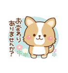 丁寧♪ゆるコーギー大人の日常スタンプ03（個別スタンプ：34）