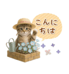 癒しニャンコの「夏」の毎日（個別スタンプ：3）