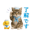癒しニャンコの「夏」の毎日（個別スタンプ：7）