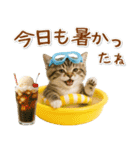 癒しニャンコの「夏」の毎日（個別スタンプ：10）